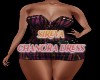 sireva Chanora Dress