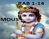 RAB DIKHTA RAB1-14 INDOU