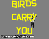Birds Fly you around