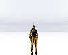 hazard