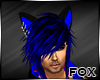[FOX] Rave Cat Ears