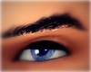 Blue Male Eyes