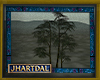 JL Nadirel Tree 2