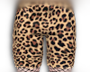F. Leopard |Shorts|