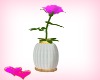 single pink rose in vase