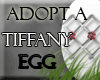 Adopt a  Egg!