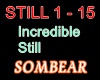 SOMBEAR-Incredible Still