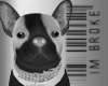 Dog B