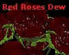 Red Roses Dew