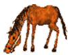 horse 2/