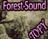 forest sounds 