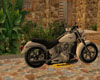 !E!moto  blanco  anim