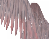 Stained Angel Wings