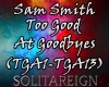 TooGoodAtGoodbye