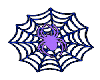 Spider in web purple