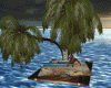 Romantic Palm Floater