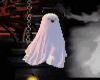 Halloween Ghost Flying..