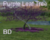 [BD] Purple Leaf Tree