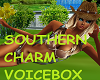 VOICEBOX SOUTHERN CHARM