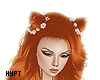 Darla ginger