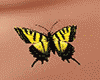 Butterfly Chest Animated