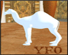 ~YF0~ CAMEL
