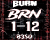 Burn