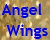 Angel Wings man