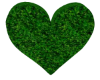 LS Rug Heart Green