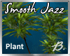*B* Smooth Jazz Plant1