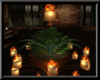 AuRoRa Plant and Candles