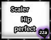22a_Hip scaler perfect
