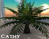 Animated Island Palm