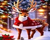 BANC DE NOEL