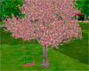 C4U~Romantic Swing/ Tree