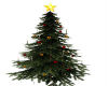 CHRISTMAS TREE-C (KL)