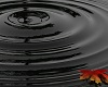 Black Water