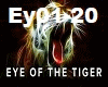 Eye of the Tiger - Epic