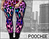 Colorful Cheetah V2