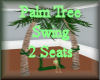 [my]Palm Tree Swing