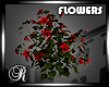 DRV_Flowers [R]