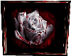 Bloody Rose Wall Frame A