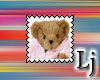 Teddy Bear Stamp14