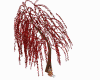 ch)fairy willow tree red