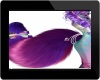 Furry Tail Delta*