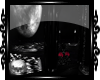 Dark Gothic Moon Bundle