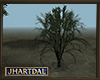 JL Derriaran Tree 4