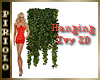 Hanging Ivy 2D
