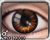 [Z] Brown Eyes  M