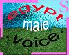 egypt male voice